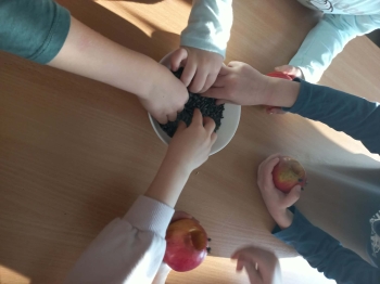 616322063_1307731284726588_4010090085313187107_n