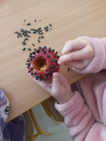 616819021_1307731344726582_809491551576456749_n