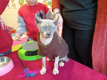 616634996_122290493186075267_5835058455953377116_n