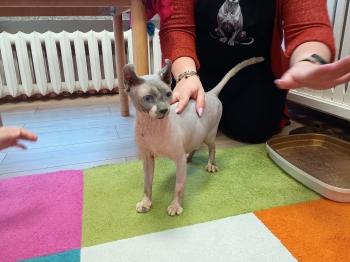 617840146_122290492118075267_5193155779382695271_n