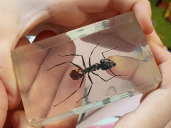 636255530_122295863534075267_8630540852864585463_n