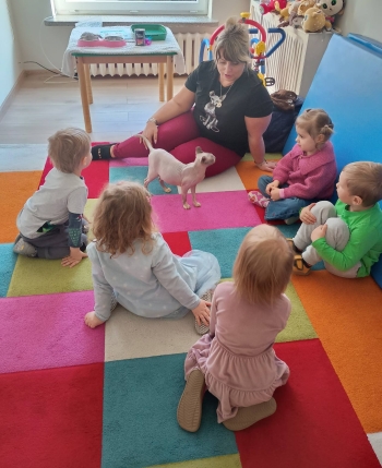 649174979_122299007408075267_8090574500309732946_n