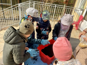 650070178_122299008272075267_622901897813454659_n