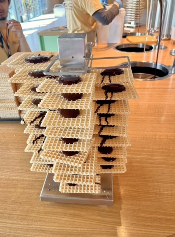 674295030_122305676444075267_945292554710941372_n