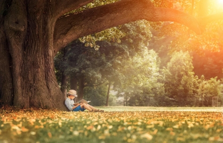 Wydarzenia w przedszkolu - LISTOPAD 2025