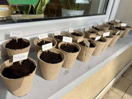 Ogrodnicy -  gr. SÓWKI